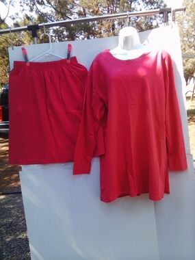 Ladies Long Sleeve Top and Skirt Set - Pink